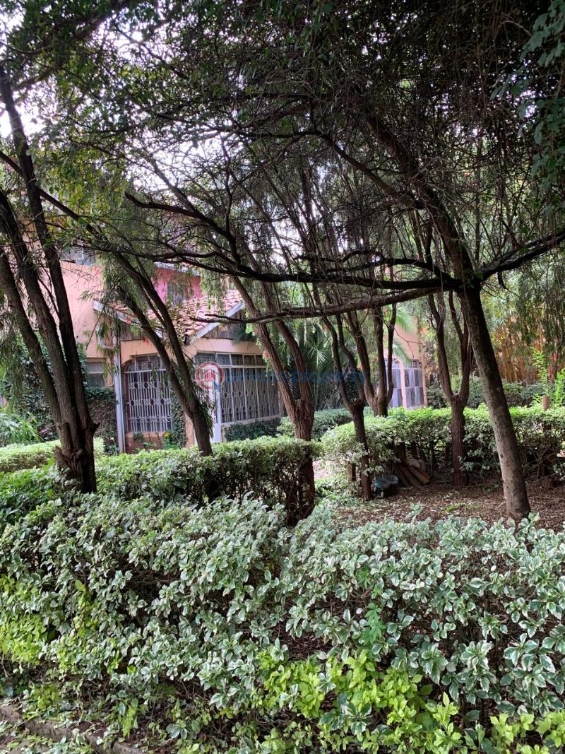 7 bedroom House For Sale Nairobi Karen  - 11