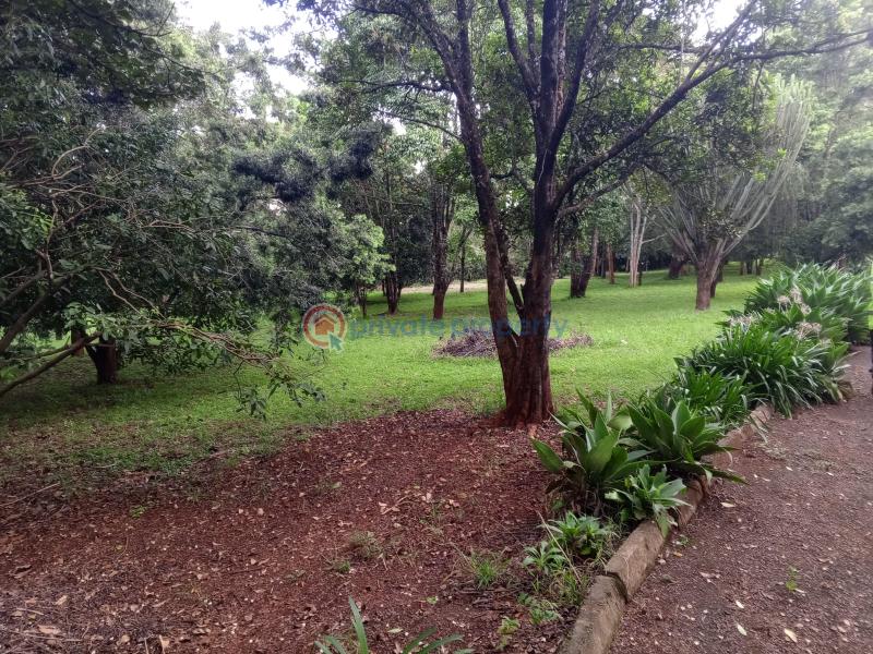 Land For Sale `karen Nandi Rd Nairobi Karen  - 6