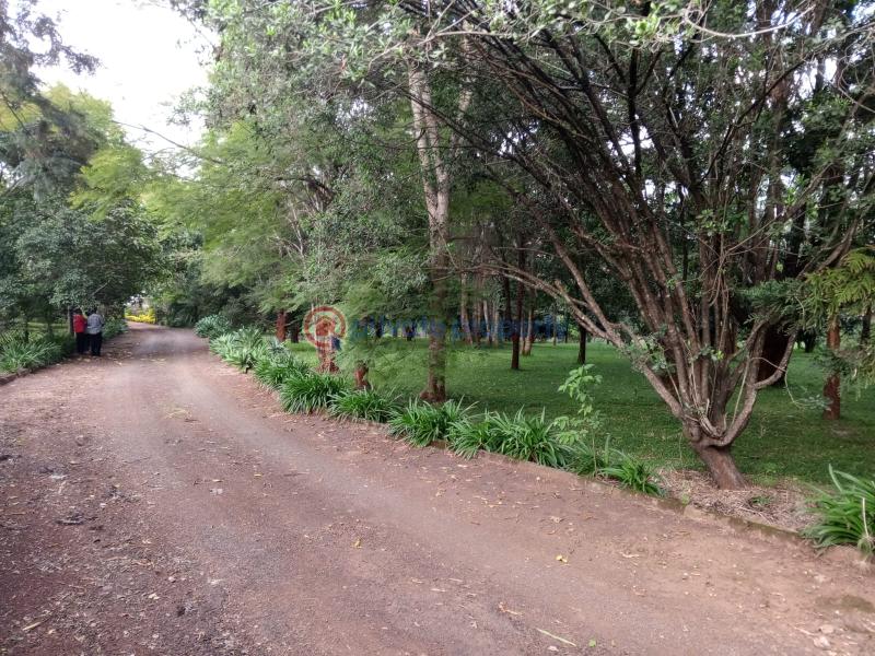 Land For Sale Nairobi Karen  - 0