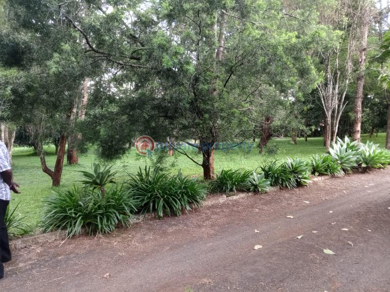 Land For Sale `karen Nandi Rd Nairobi Karen  - 3