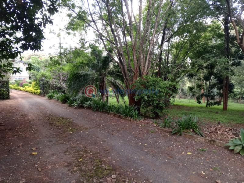 Land For Sale `karen Nandi Rd Nairobi Karen  - 2