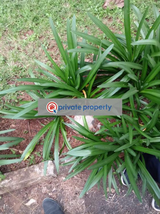 Mixed use Land For Sale &nbsp;karen Nandi Rd Karen Nairobi - 4