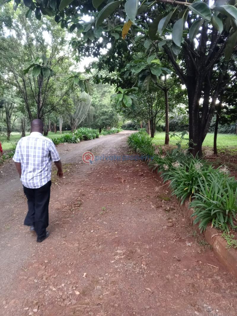 Land For Sale Nairobi Karen  - 11