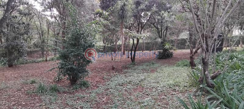 House For Sale Nairobi Karen  - 7