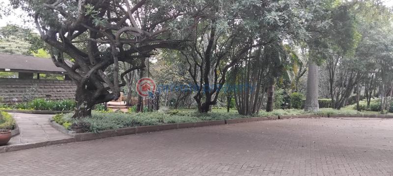 Land For Sale Karen Hardy Kikenni Road Karen Nairobi - 3