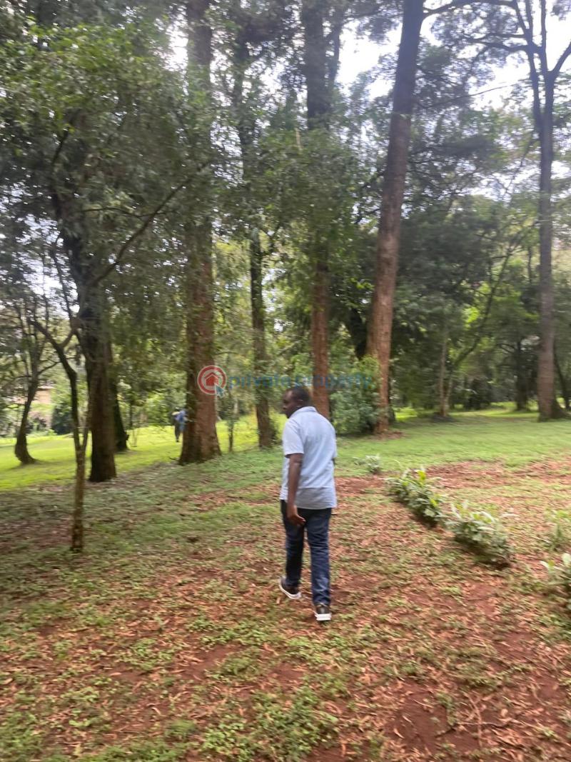House For Sale Karen Mwitu Nairobi Karen  - 2