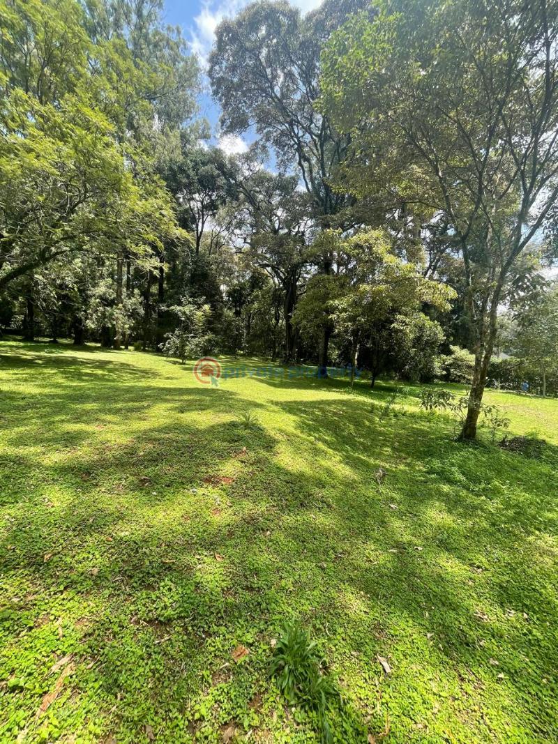 Land For Sale Karen Mwitu Estate Nairobi Karen  - 7