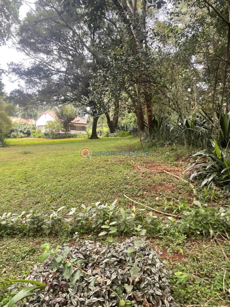 Land For Sale Karen Mwitu Nairobi Karen  - 1