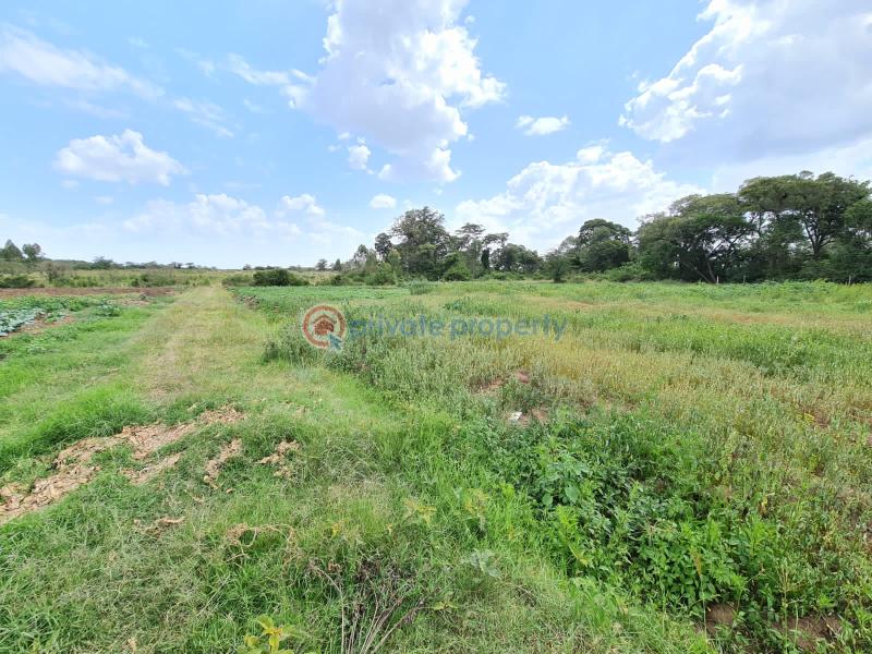 1 bedroom Commercial Land For Sale Nanyuki Laikipia - 2