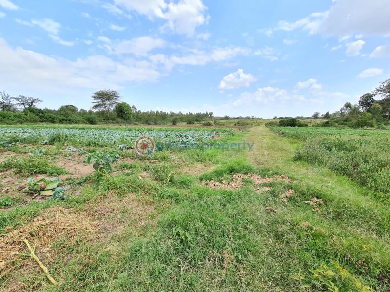1 bedroom Commercial Land For Sale Nanyuki Laikipia - 6