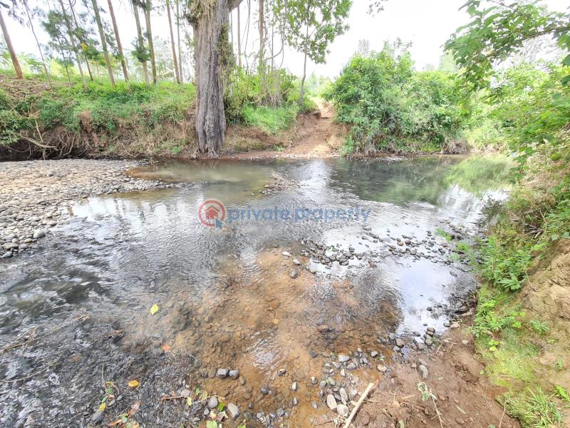 1 bedroom Commercial Land For Sale Nanyuki Laikipia - 4