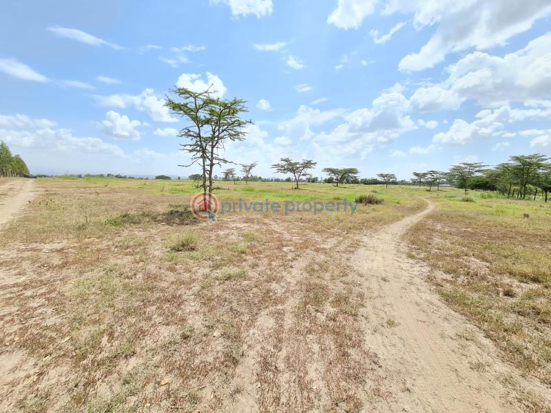 1 bedroom Commercial Land For Sale Nanyuki Laikipia - 8