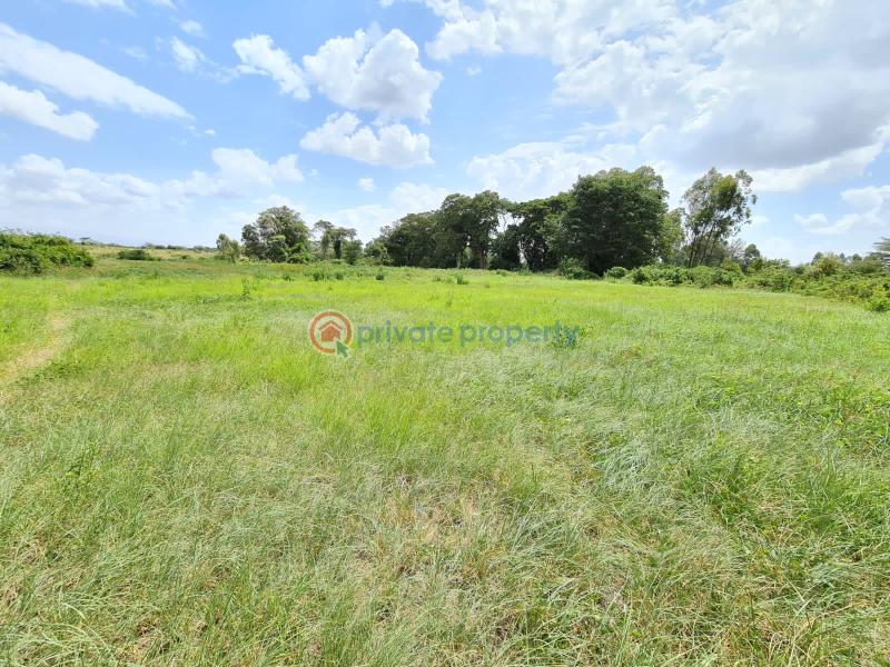 1 bedroom Commercial Land For Sale Nanyuki Laikipia - 5