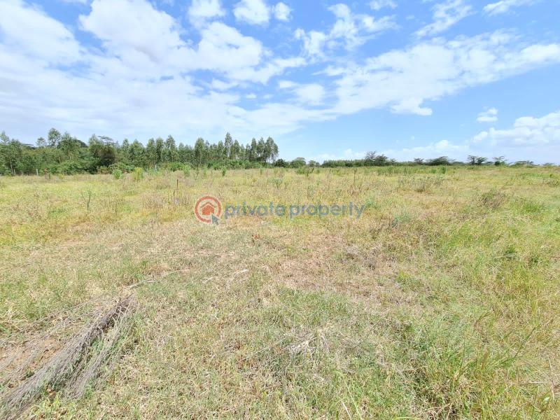 1 bedroom Commercial Land For Sale Nanyuki Laikipia - 3