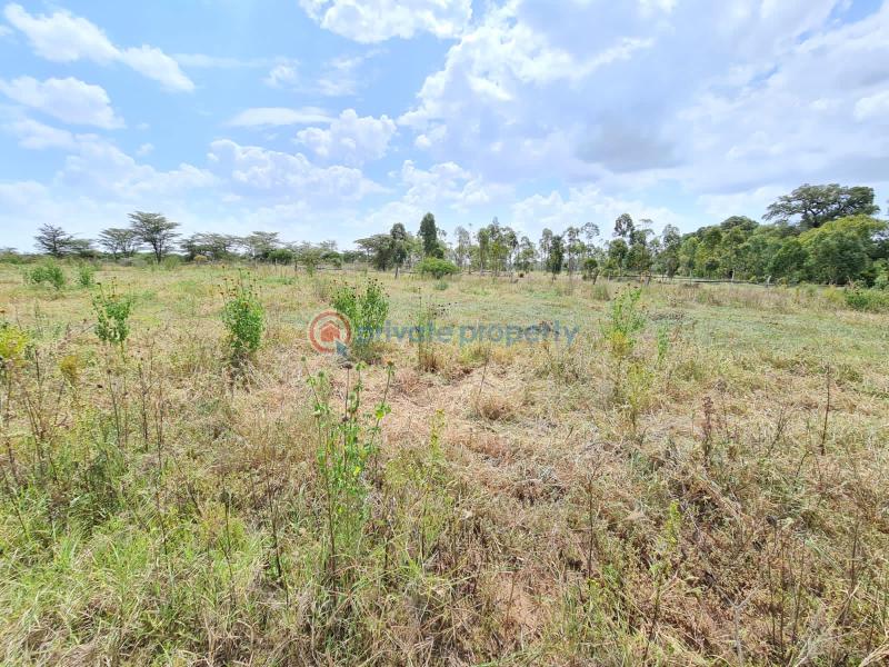 1 bedroom Commercial Land For Sale Nanyuki Laikipia - 7