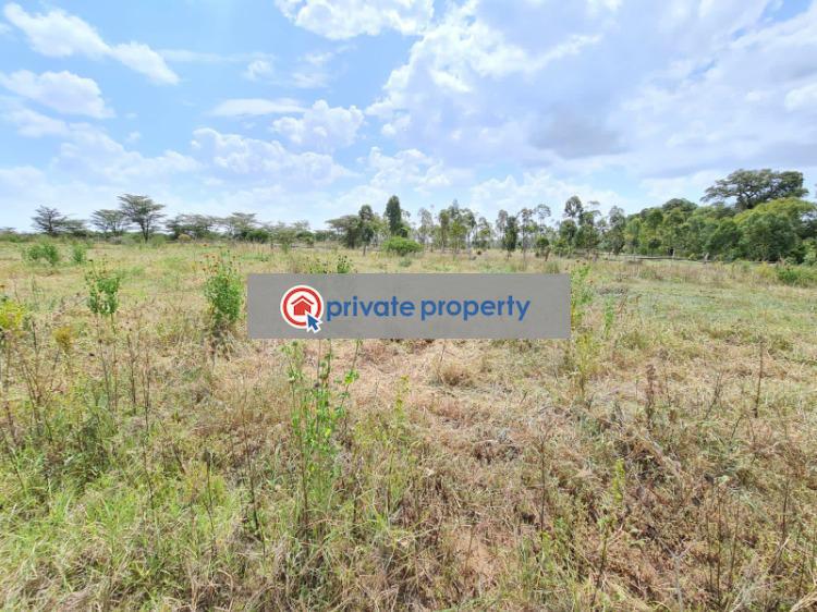 Commercial Land For Sale &nbsp;karichen Naromoru. Nanyuki Laikipia - 7