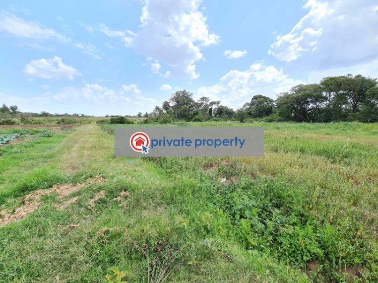 Commercial Land For Sale &nbsp;karichen Naromoru. Nanyuki Laikipia - 2