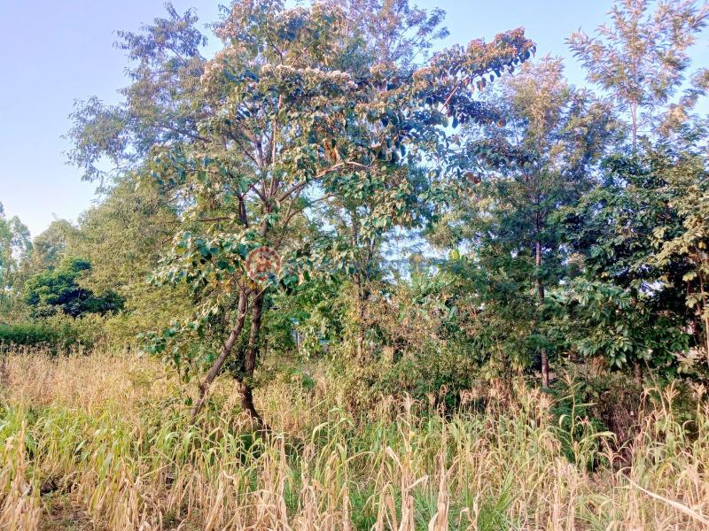 Residential Land For Sale Makuyu Muranga - 6