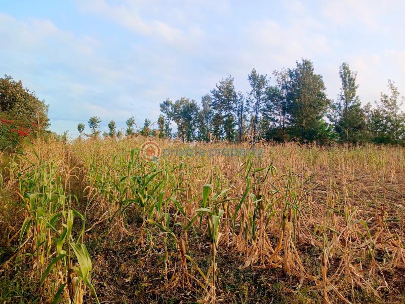 Residential Land For Sale Makuyu Muranga - 9