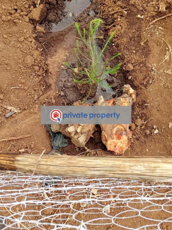 Mixed use Land For Sale &nbsp;rosegate Kikuyu Kiambu - 8