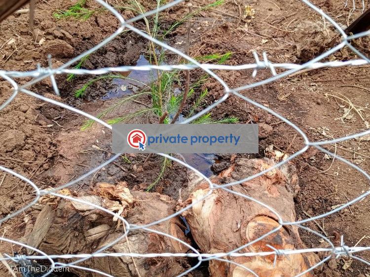 Mixed use Land For Sale &nbsp;rosegate Kikuyu Kiambu - 6