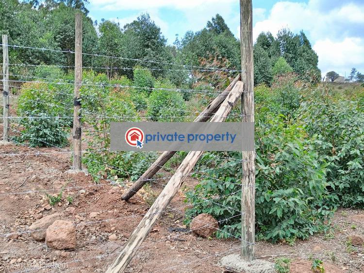 Mixed use Land For Sale &nbsp;rosegate Kikuyu Kiambu - 4