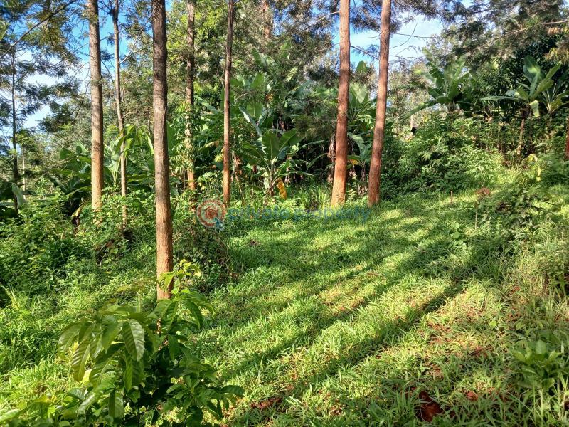 Commercial Land For Rent Makuyu Muranga - 3