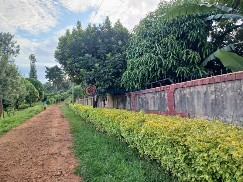 Commercial Land For Rent Makuyu Muranga - 2