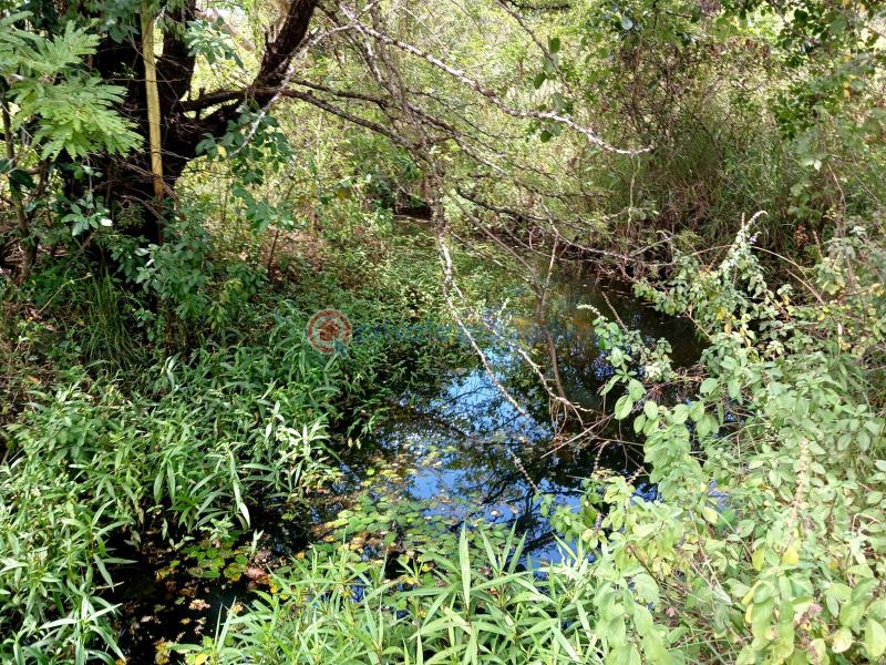 Commercial Land For Rent Makuyu Muranga - 5