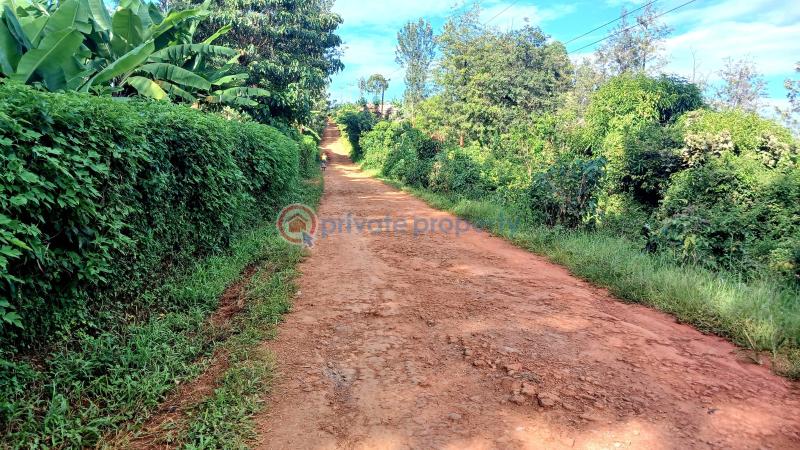 Commercial Land For Rent Makuyu Muranga - 4