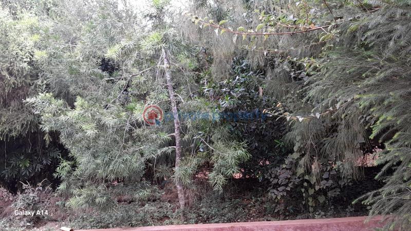 2 bedroom Detached Bungalow For Sale Kikuyu 200 Meters From The Tarmac Road Kiambu - 14