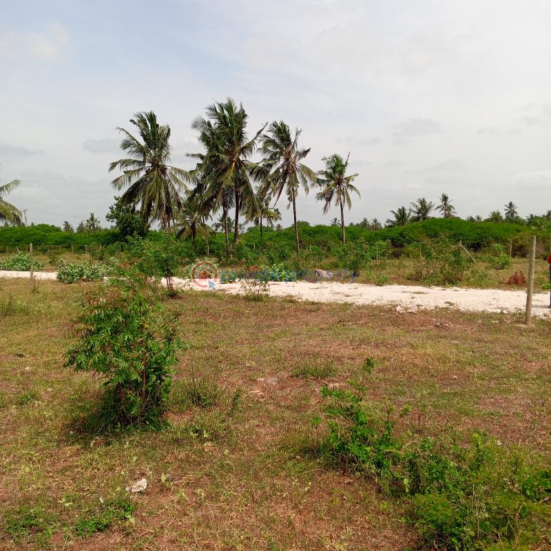 Mixed use Land For Sale Mtondia Highway Mtondia Sokoni Kilifi - 4
