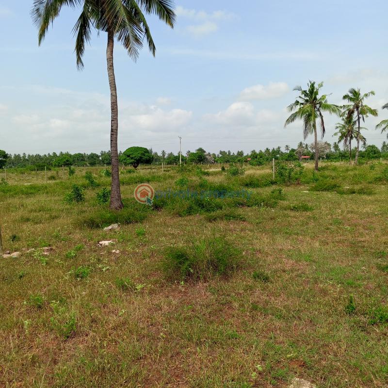 Mixed use Land For Sale Mtondia Highway Mtondia Sokoni Kilifi - 3