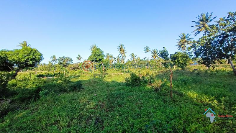 Commercial Property For Sale Chakama Kilifi - 3