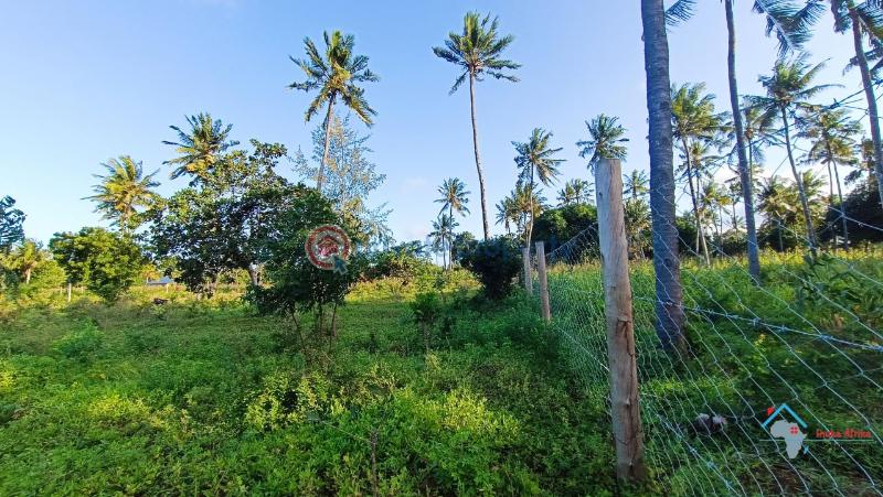 Commercial Property For Sale Chakama Kilifi - 4