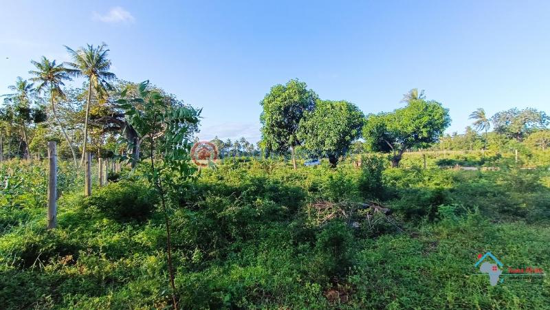 Commercial Property For Sale Chakama Kilifi - 2