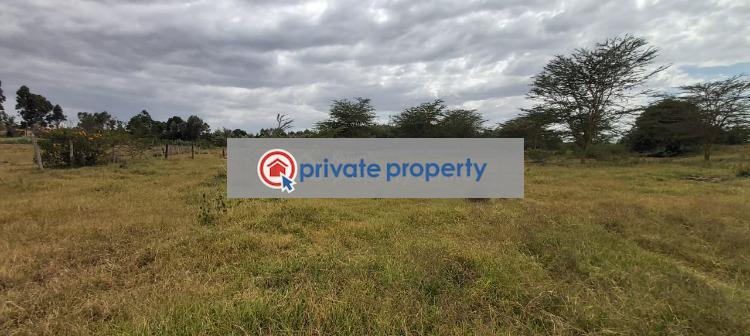 Commercial Land For Sale &nbsp;burguret Near Tambuzi Farm. Nanyuki Laikipia - 4