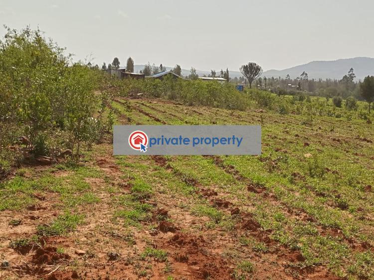 Residential Land For Sale loldaiga Hills Mount Kenya Nanyuki Laikipia