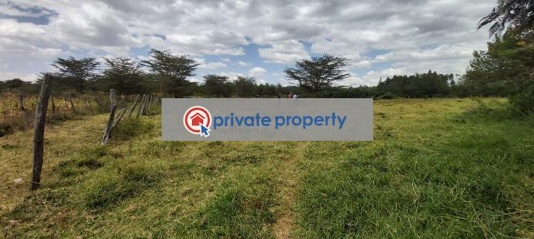 Commercial Land For Sale &nbsp;burguret Near Tambuzi Farm. Nanyuki Laikipia - 2