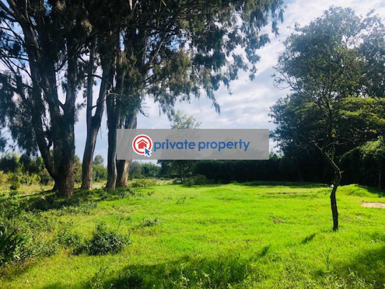 Commercial Land For Sale &nbsp;meru A2 Road Nanyuki Laikipia - 6