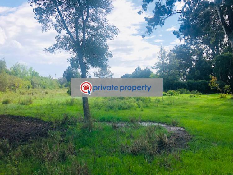 Commercial Land For Sale meru A2 Road Nanyuki Laikipia (PID 2PAENR