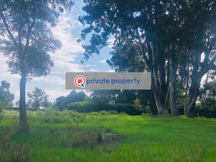 Commercial Land For Sale &nbsp;meru A2 Road Nanyuki Laikipia - 5
