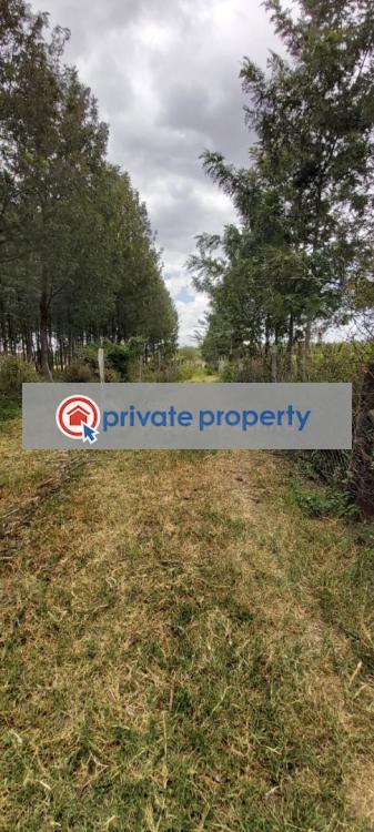 Commercial Land For Sale &nbsp;burguret Near Tambuzi Farm. Nanyuki Laikipia - 1