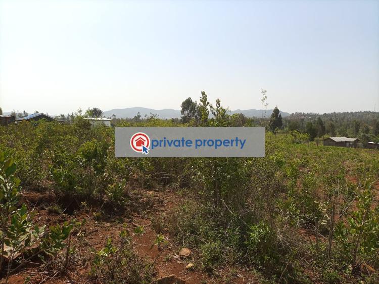 Residential Land For Sale loldaiga Hills Mount Kenya Nanyuki Laikipia