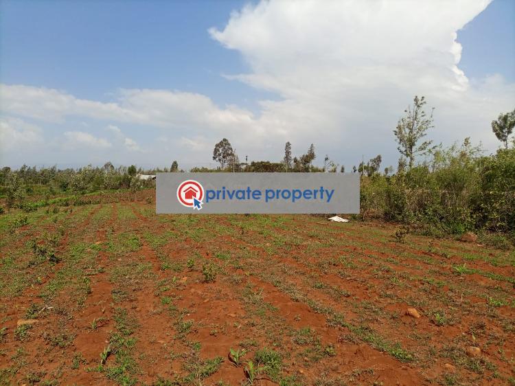 Residential Land For Sale loldaiga Hills Mount Kenya Nanyuki Laikipia