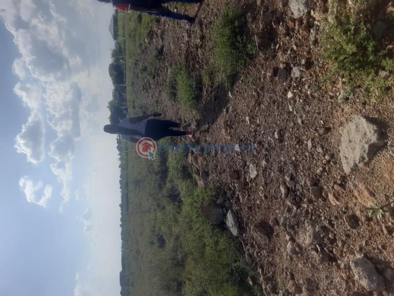 Land For Sale Kiratina kamakis Ruiru Kiambu - 2