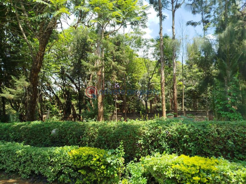 Land For Sale Karen Windy Ridge Nairobi Karen  - 1