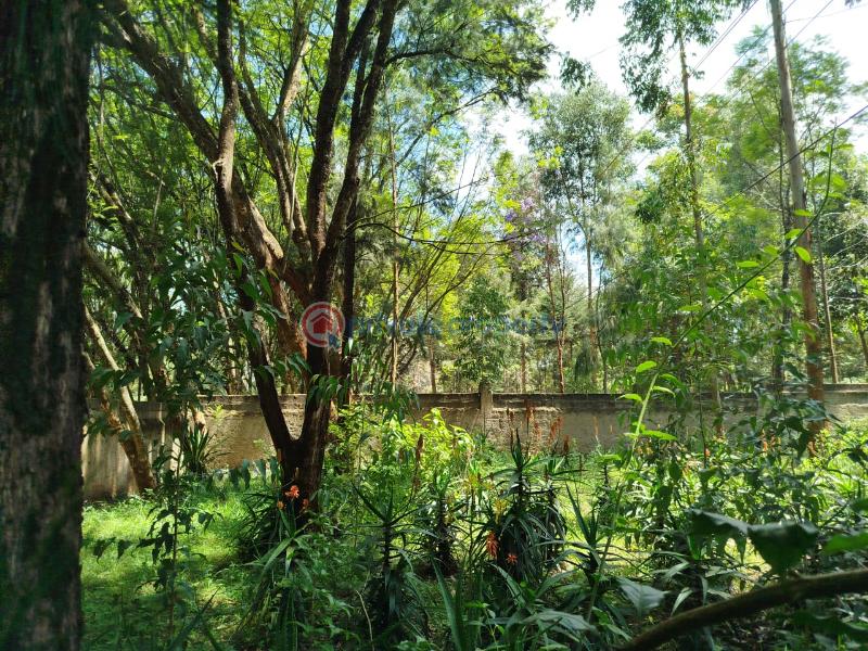 Land For Sale Karen Nairobi Nairobi Karen  - 2