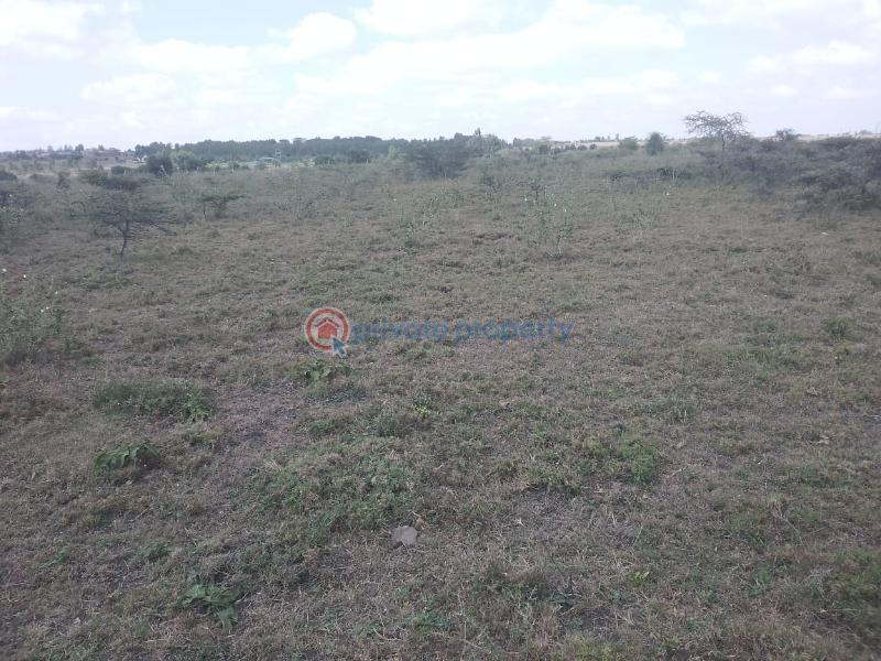 Land For Sale Keekonyokie (Kajiado)  - 5