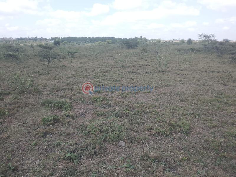 Land For Sale Keekonyokie (Kajiado)  - 3